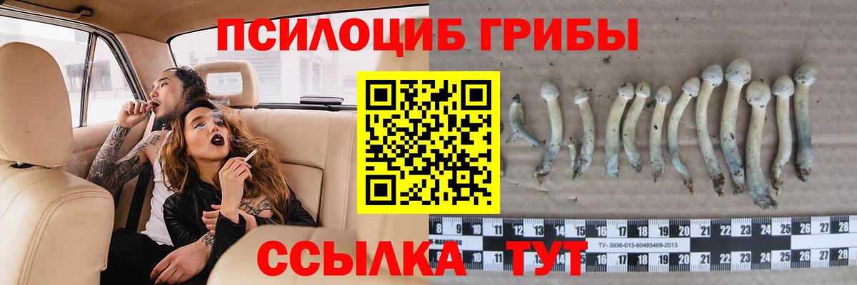 Галлюциногенные грибы Psilocybe  Галлюциногенные грибы Cubensis  Вход с VPN  Михайловка 